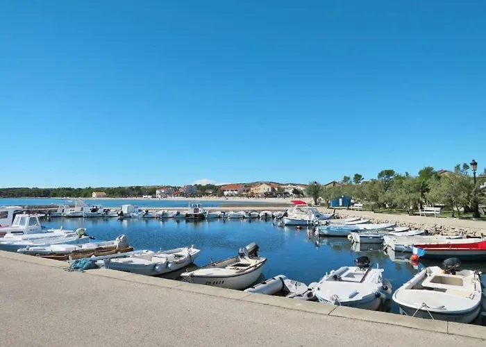 Joso Dalmatia