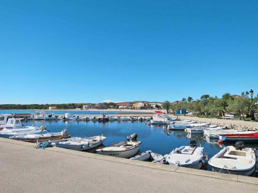 Joso Dalmatia Vir