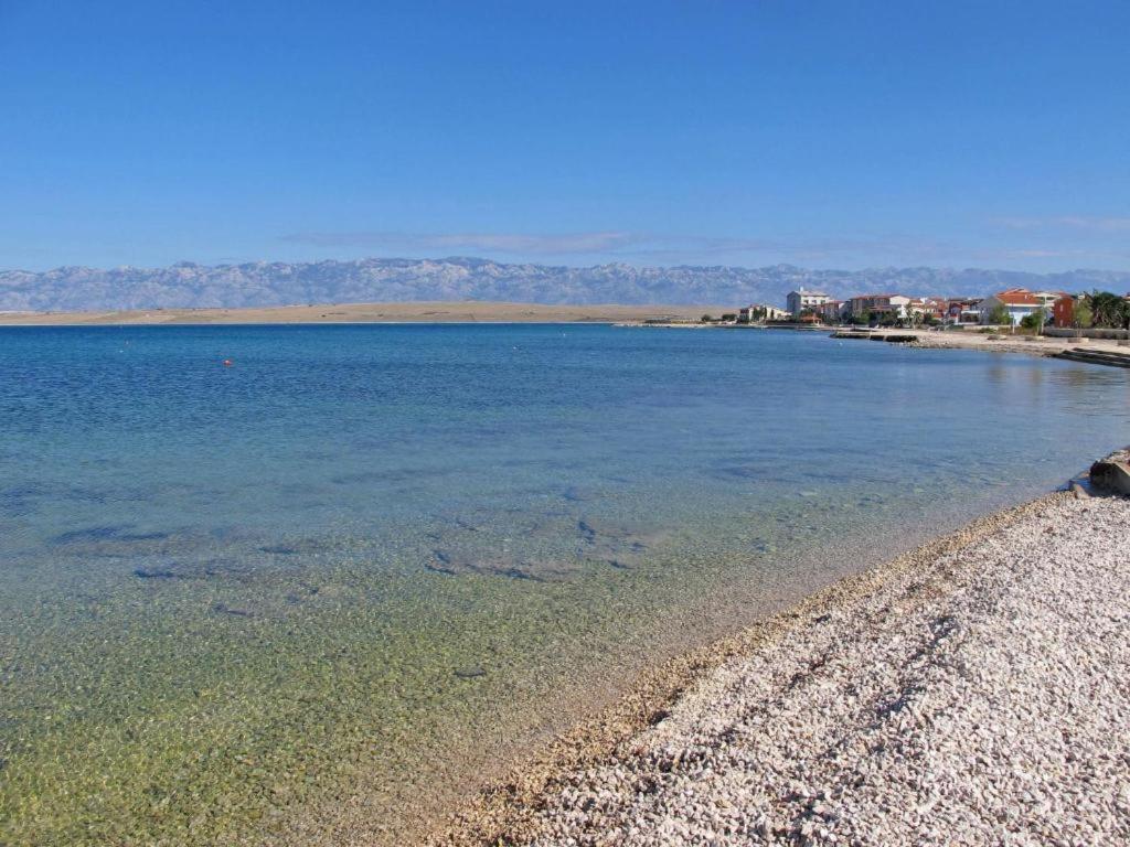 Joso Dalmatia